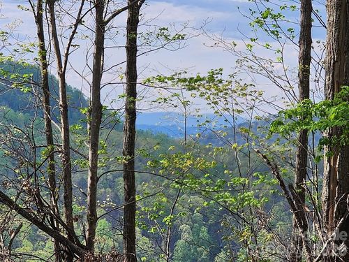 79 Longview Trail, Bostic, NC, 28018 | Card Image