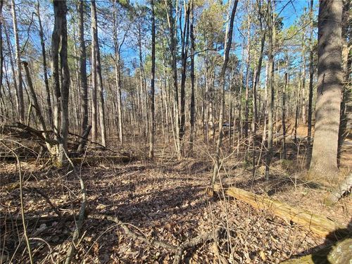 TBD N John Erickson Avenue, BASS LAKE, WI, 54843 | Card Image