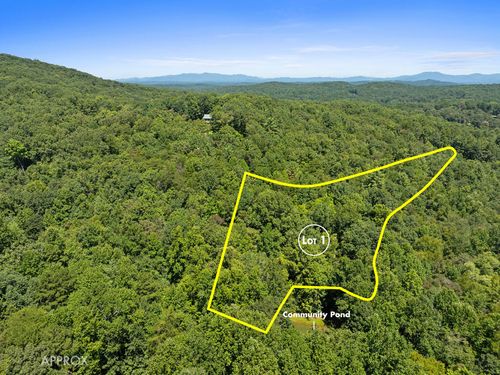 Lot 1 Natures Way, Blue Ridge, GA, 30513-3852 | Card Image