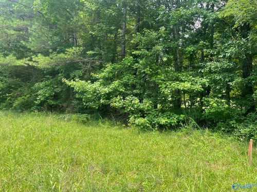 8.1AC County Road 1198, Cullman, AL, 35057 | Card Image