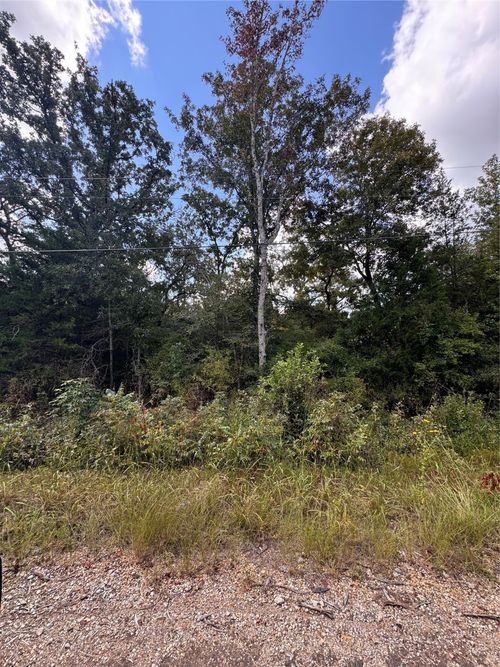 TBD-2 Cottonwood Ln, Murchison, TX, 75778 | Card Image