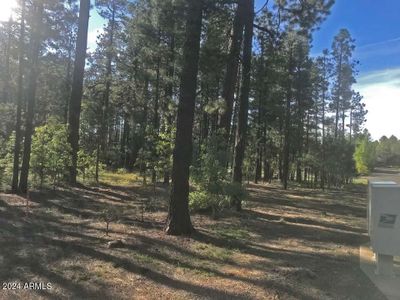 38 - 8508 Skywood Drive, Home with 0 bedrooms, 0 bathrooms and null parking in Pinetop AZ | Image 1