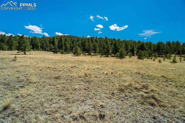 128 Nancy Ann Arroyo, Home with 0 bedrooms, 0 bathrooms and null parking in Guffey CO | Image 18