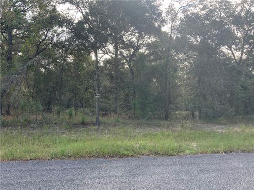 00 Se 136th. Lot 9 Terrace, MORRISTON, FL, 32668 | Card Image