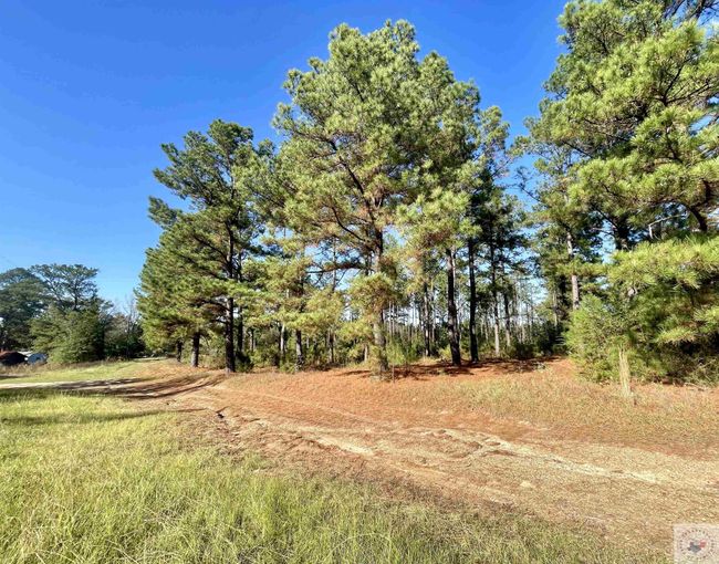 1407 Miller County 3, Home with 0 bedrooms, 0 bathrooms and null parking in Doddridge AR | Image 9