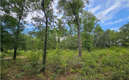LOT13 119th Dr, O Brien, FL, 32071 | Card Image