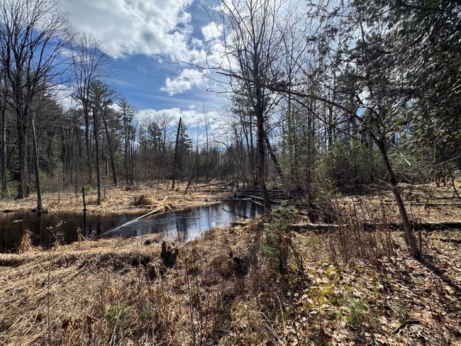 Follow the creek for miles | Image 18