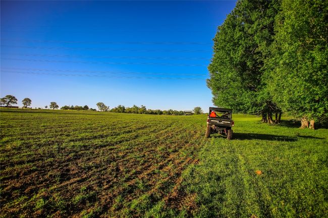 View of green lawn featuring a view of rural / pastoral area | Image 29