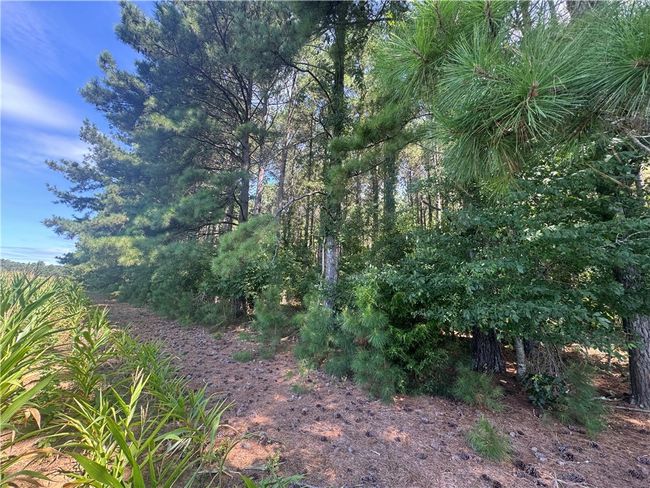 3 Rogers Rd, Home with 0 bedrooms, 0 bathrooms and null parking in Pendleton SC | Image 11