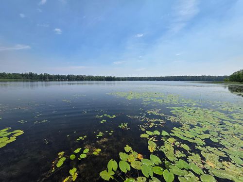 42870 328th Pl, Palisade, MN, 56469 | Card Image