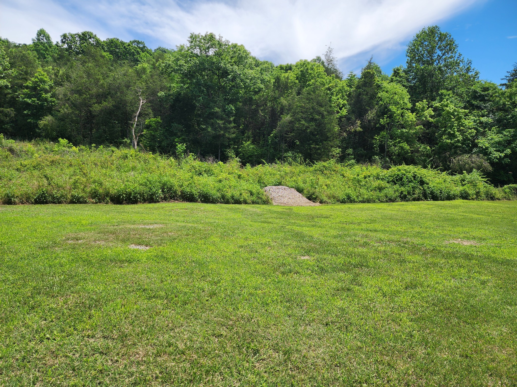 Land in Hartsville 4