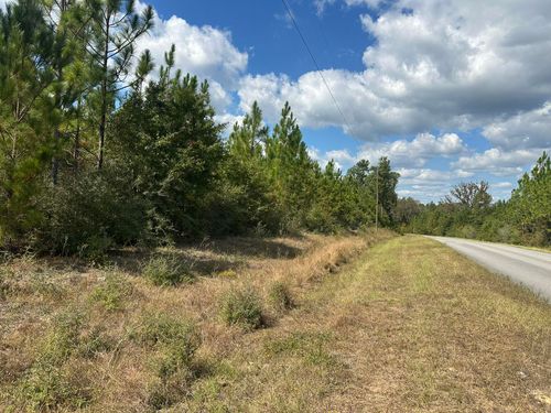 Parcel A New Ebenezer Rd, Laurel Hill, FL, 32567 | Card Image