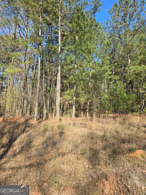 1381 Trestle Rd, Locust Grove, GA, 30248-4219 | Card Image
