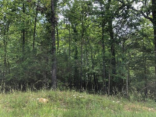 1608 Adams Circle, Horseshoe Bend, AR, 72512 | Card Image