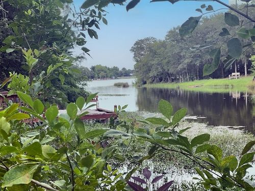 117 Caddo, Smithville, TX, 78957 | Card Image