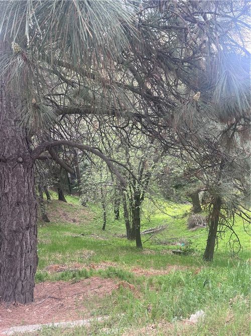 0 Jewel Dr, Crestline, CA, 92325-9285 | Card Image