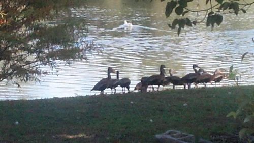 1024 - 1038 W Dixie Avenue, Leesburg, FL, 34748 | Card Image