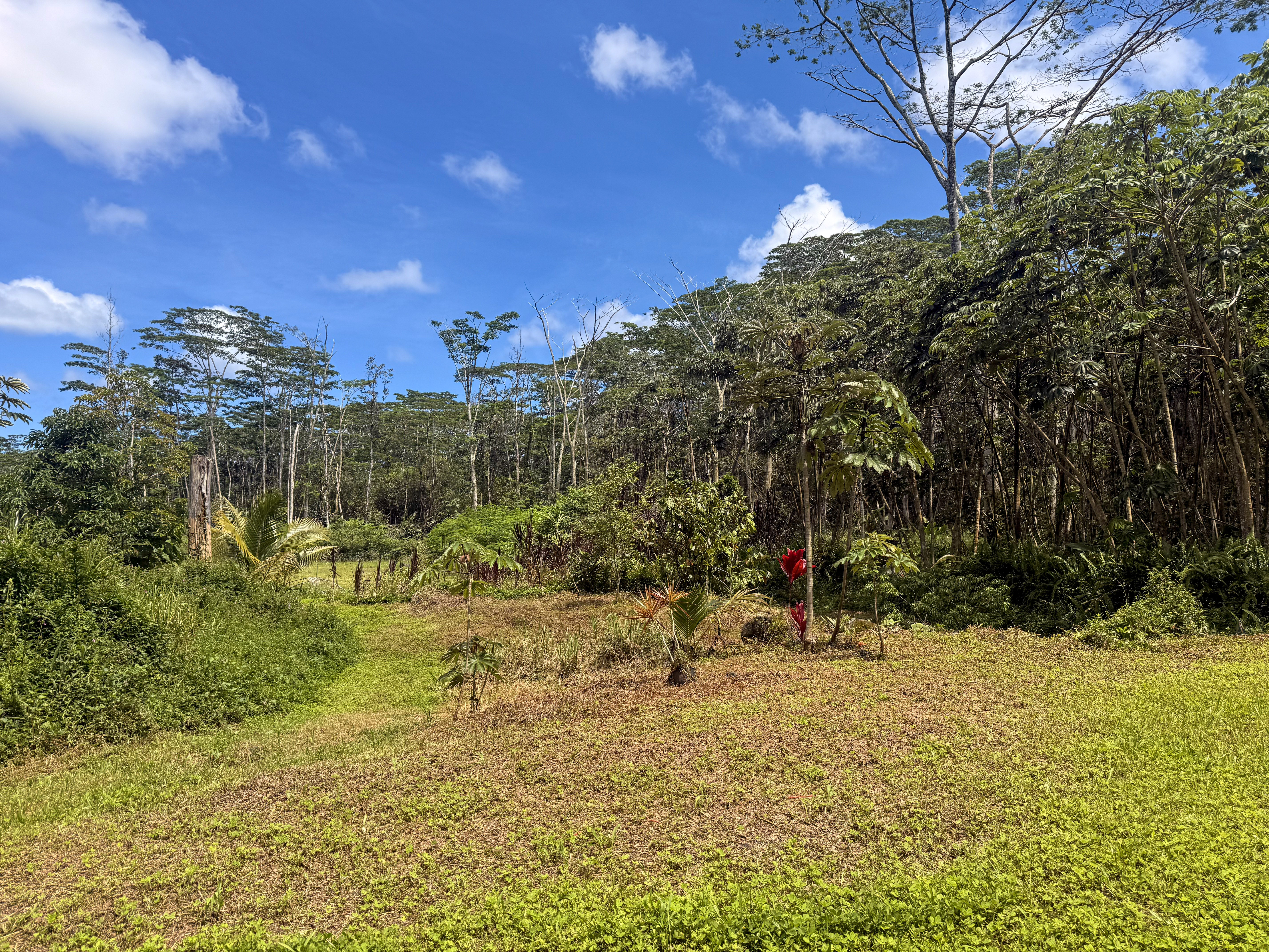 Land in Pahoa