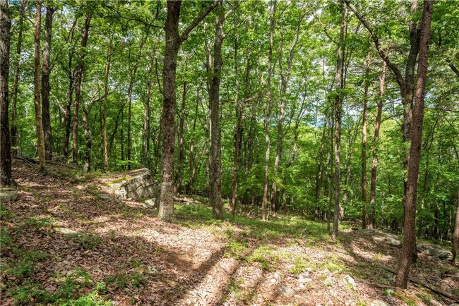 206 Mystic Trail Ln, Home with 0 bedrooms, 0 bathrooms and null parking in Jasper GA | Image 11