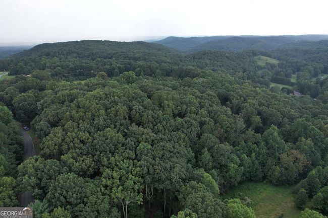 0 Peach Orchard Dr, Home with 0 bedrooms, 0 bathrooms and null parking in Alto GA | Image 15