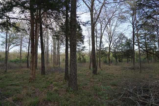 01 Private Rd 5401, Home with 0 bedrooms, 0 bathrooms and null parking in Malakoff TX | Image 6