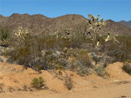 24203004 S Sundance Kid Rd, Yucca, AZ, 86438 | Card Image