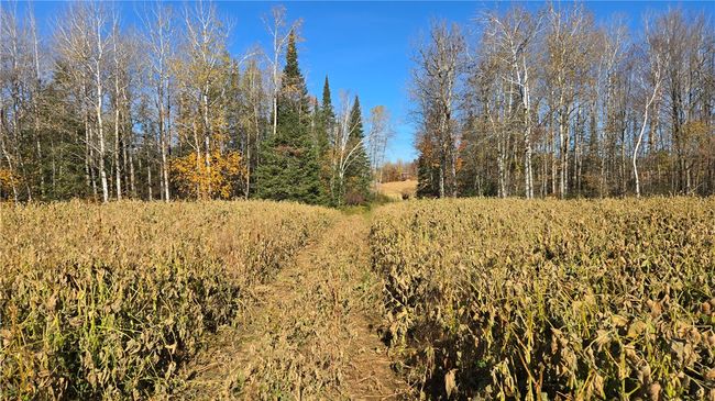 2984 N Weirgor Rd, House other with 4 bedrooms, 1 bathrooms and null parking in EXELAND WI | Image 39