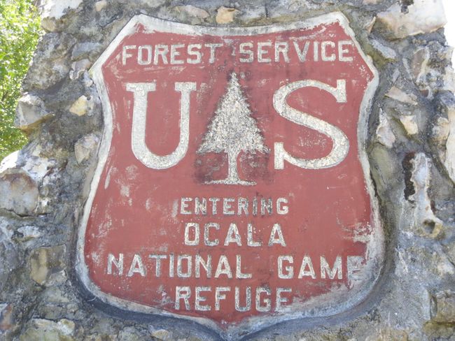 Ocala National Forest Activity | Image 83