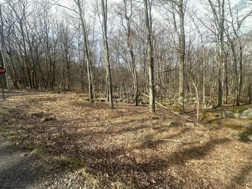 Lot 216 Aster Cir, Terra Alta, WV, 26764 | Card Image