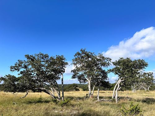 41 Buckskin Path Path, Fredericksburg, TX, 78624 | Card Image