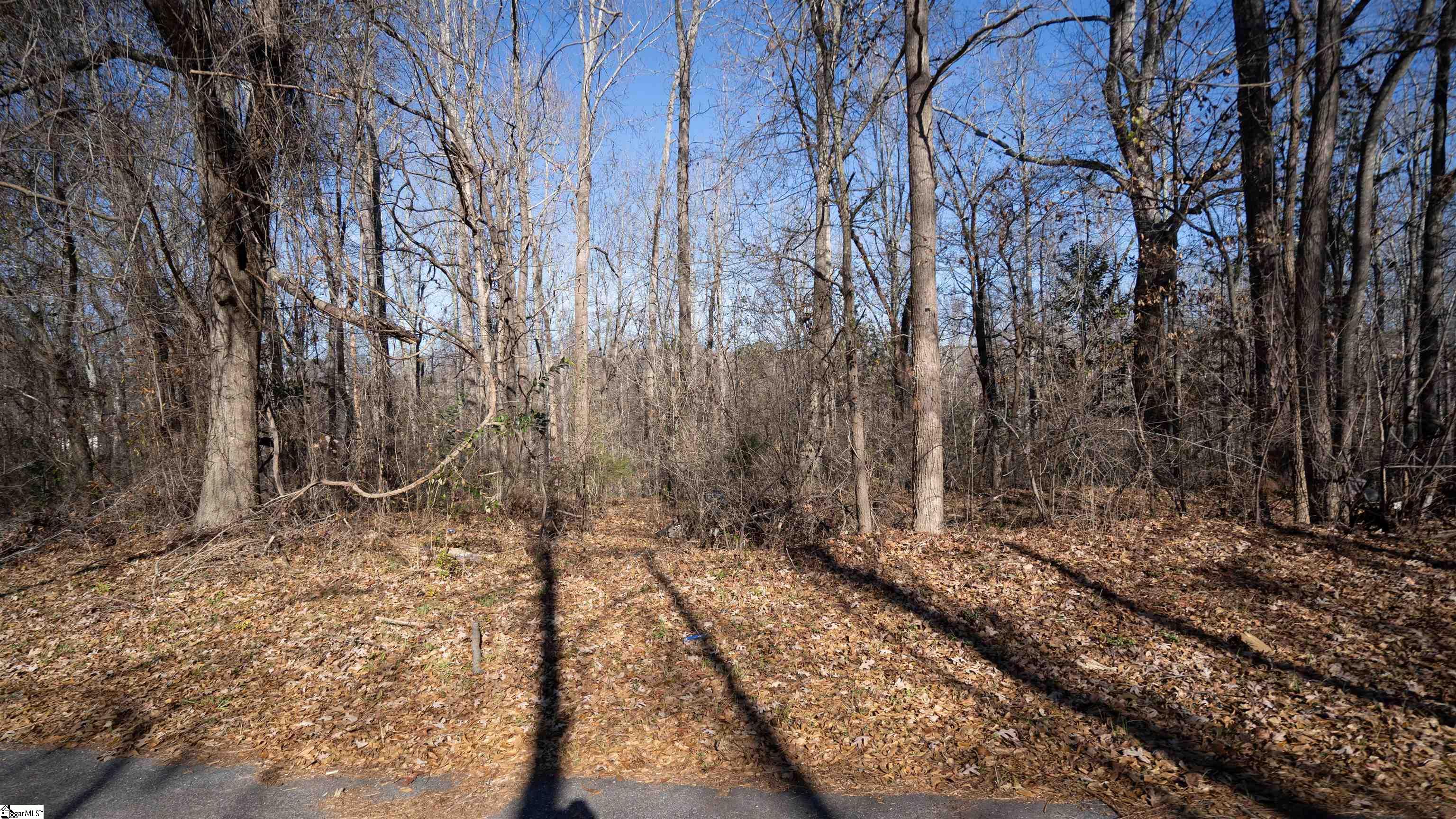 Land in Pacolet