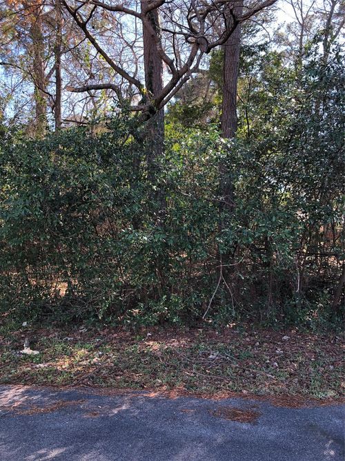 389 Live Oak, Trinity, TX, 75862-6745 | Card Image