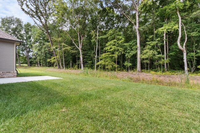 1437 Sango Commons Way, House other with 3 bedrooms, 2 bathrooms and 2 parking in Clarksville TN | Image 37