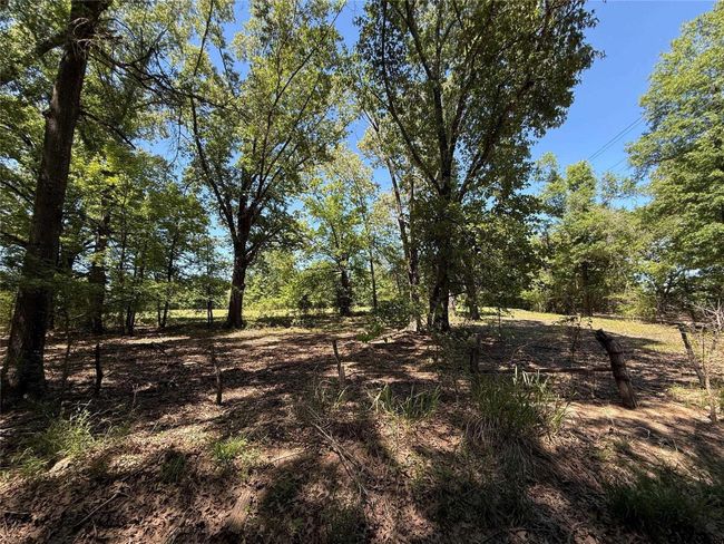 72 Acres N Farm Road 900, Home with 0 bedrooms, 0 bathrooms and null parking in Saltillo TX | Image 28