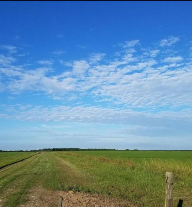 001 Fm 365, Home with 0 bedrooms, 0 bathrooms and null parking in Nome TX | Image 7
