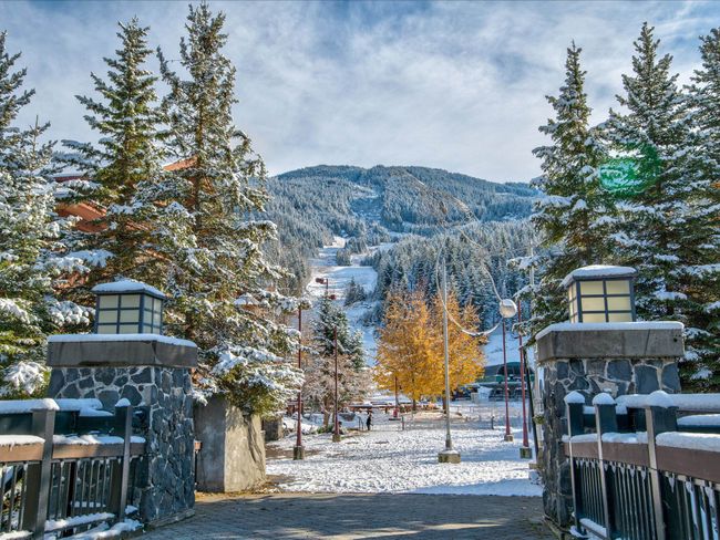 301 - 2129 Lake Placid Rd, Condo with 1 bedrooms, 2 bathrooms and null parking in Whistler BC | Image 24