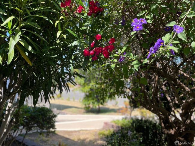 21723 Ada St, House other with 3 bedrooms, 2 bathrooms and 2 parking in Castro Valley CA | Image 66