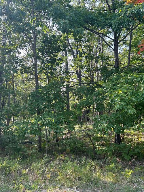 1797 Sandpiper Trail, Otsego Lake Township, MI, 48735 | Card Image