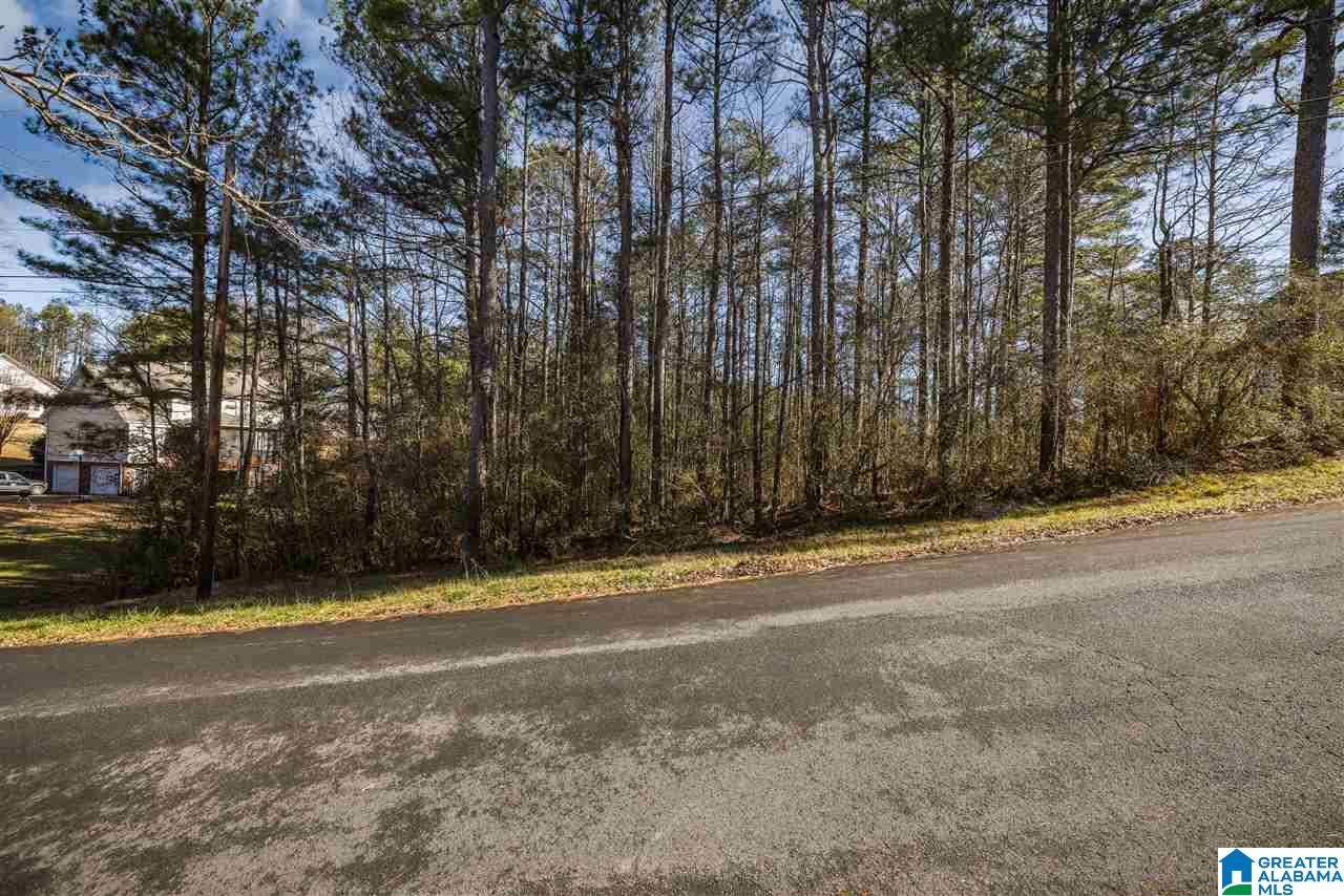 Land in ONEONTA 3