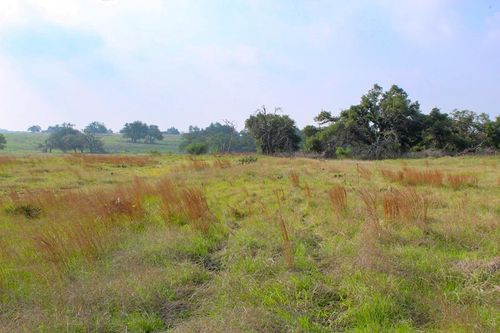 12-299 Apache Trce Nw, Harper, TX, 78631 | Card Image