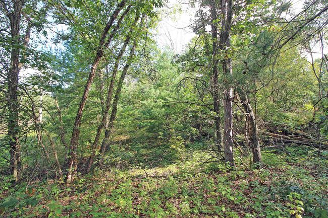 7750 Pine Rd, House other with 3 bedrooms, 2 bathrooms and null parking in ARENA WI | Image 41