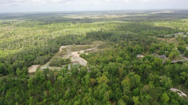 2771 S Highway 71, Home with 0 bedrooms, 0 bathrooms and null parking in Wewahitchka FL | Image 12