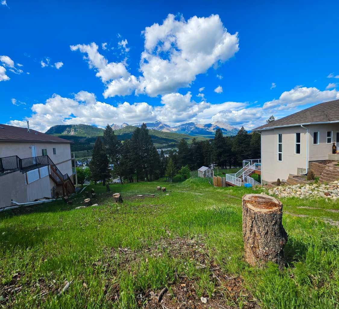 Land in Coleman 2