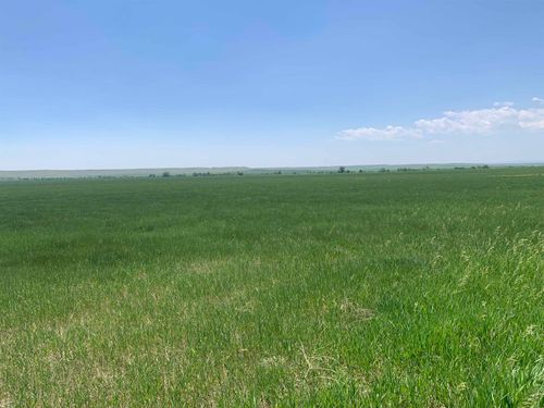 TBD Lower Spring Creek Rd, Hermosa, SD, 57744 | Card Image