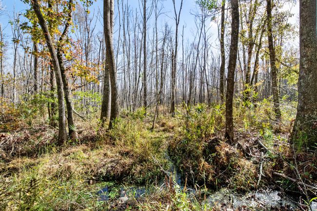 HFL_OSBORNE TRACT-31 | Image 32