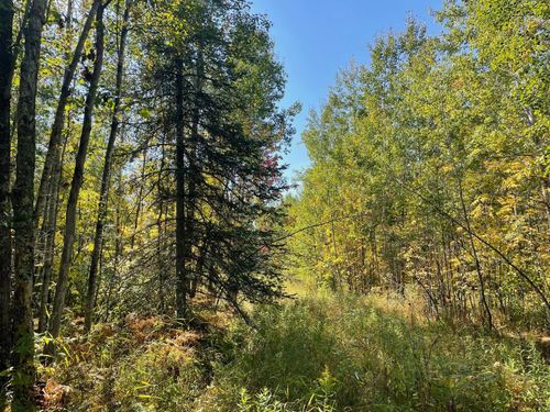 TBD County Road 83, Pengilly, MN, 55775 | Card Image