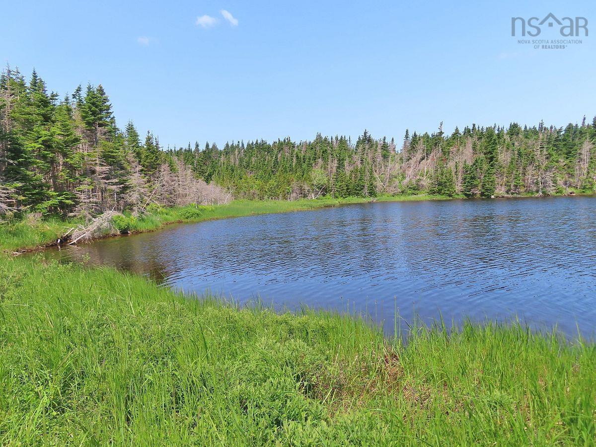 Land in Gabarus Lake 5