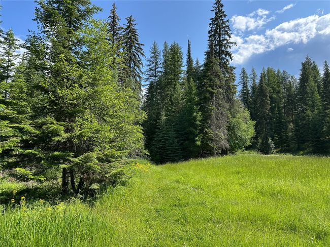 32 Whitepine Creek Rd, House other with 2 bedrooms, 2 bathrooms and null parking in Trout Creek MT | Image 74