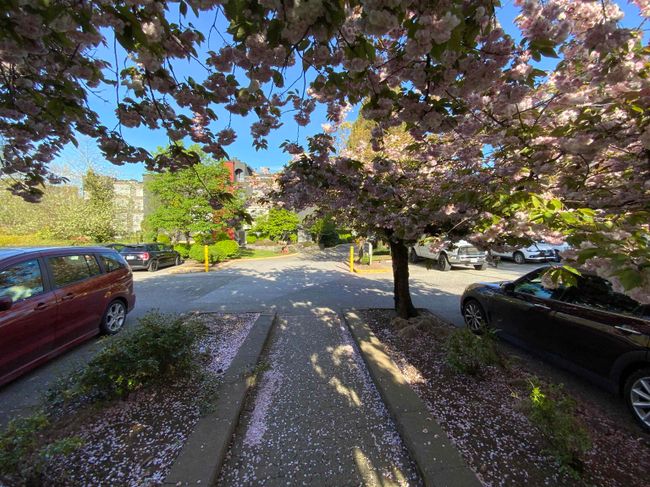 208 - 5700 200 Street, Condo with 1 bedrooms, 1 bathrooms and 1 parking in Langley BC | Image 32