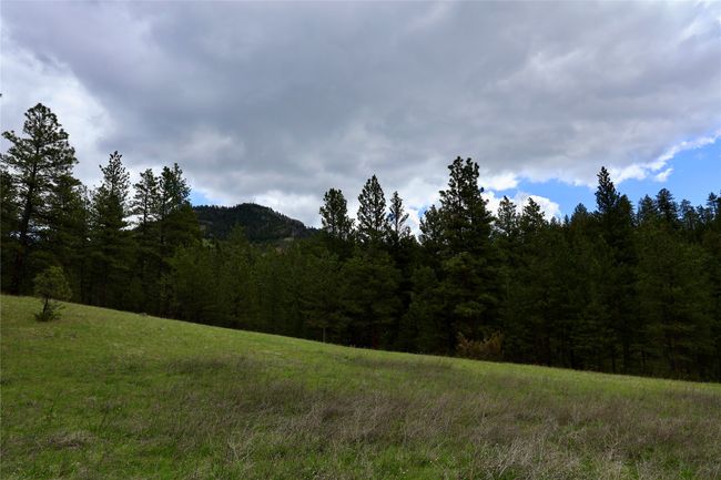 View of mountain backdrop featuring a heavily wooded area | Image 27